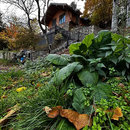 Calikusu Dag Evi シャレー
