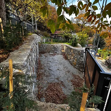 Calikusu Dag Evi シャレー *