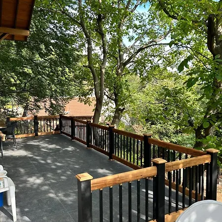 シャレー Calikusu Dag Evi *