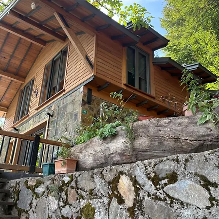 シャレー Calikusu Dag Evi ブルサ